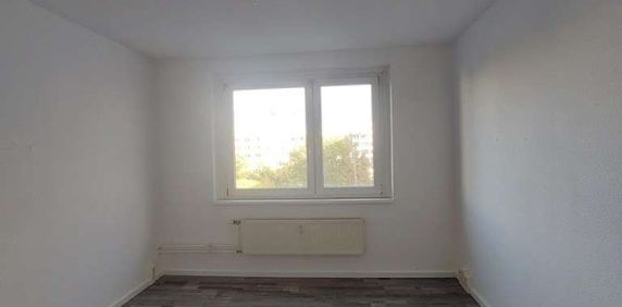 Singles aufgepasst: Schickes 1-Zimmer-Apartment in ruhiger Lage ab sofort zu vermieten! - Foto 2