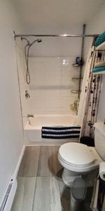 Verdun beau grand 4 1/2 RDC avec sous sol - Photo 4