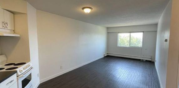 Spacious 1 Bed + Den in Vibrant East Van! PT #305 - Photo 2