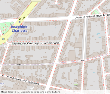 Avenue des Ombrages, Woluwe-Saint-Lambert - Photo 1