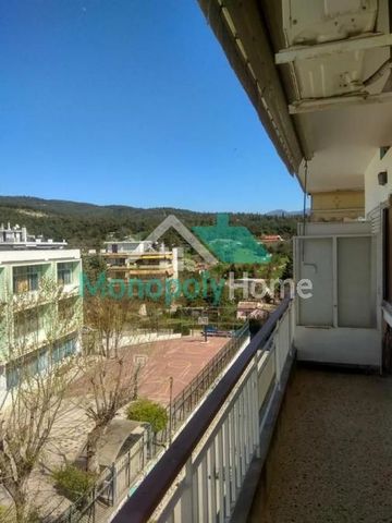 Studio/Γκαρσονιέρα για ενοικίαση - Τριανδρία - Δόξα - Κρυονέρι, - Photo 4