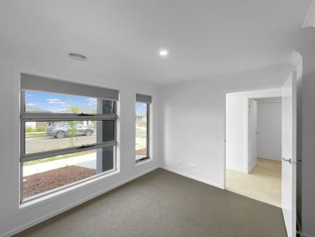 13 Vetrano Avenue, Alfredton - Photo 4
