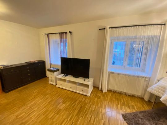 GEPFLEGTE SINGLEWOHNUNG AM MARKTPLATZ IN HELLMONSÖDT - Foto 1