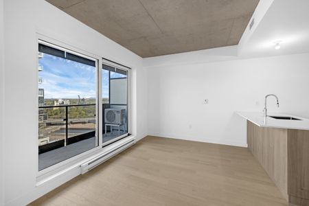 Appartement à louer - Montréal (Le Sud-Ouest) (Griffintown) - Photo 3