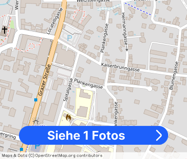 2700 Wiener Neustadt, Plankengasse 9 - Foto 1