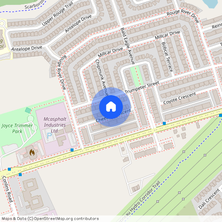 28 Cheetah Crescent Unit# Main, Toronto