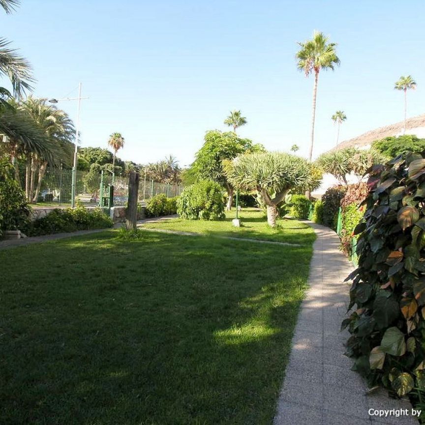 Bungalow to rent in Jamaica, Puerto Rico, Gran Canaria - Photo 1