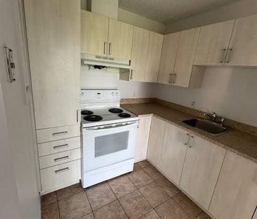 Tous Inclus! Appartement Disponible Maintenant! - Photo 2