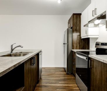 1 Bedroom - 2540 Rue Maurice-Savoie, Longueuil - Photo 1