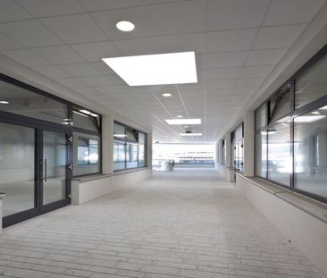 WirtschaftseinheitPÖGGSTALL VI/1 - Foto 5