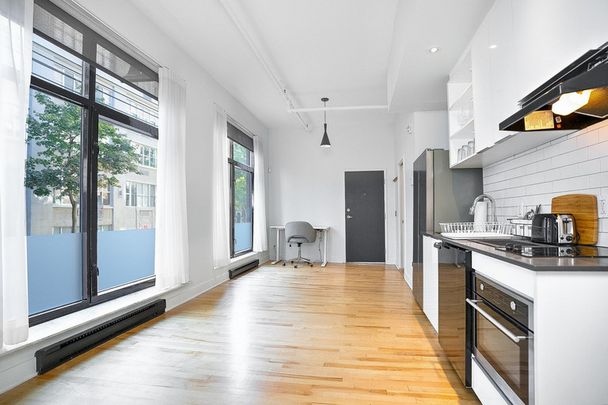 Furnished Loft - Photo 1