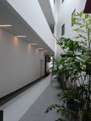 Helle, sonnige 2-Zimmer Wohnung mit sehr großer sonniger Loggia im Zentrum von Ried - Foto 1