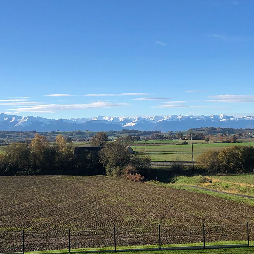 15 mn Est de Pau à Andoins - Magnifique Béarnaise rénovée avec dépendance et Vue Pyrénées, - Photo 1