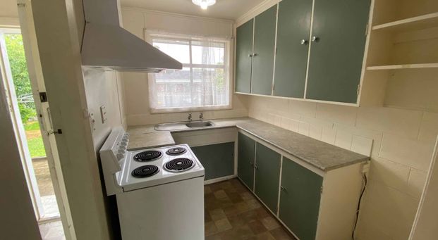 12b Kowhai Street - Photo 1