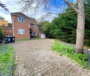 4 bedroom detached house to rent - Photo 5