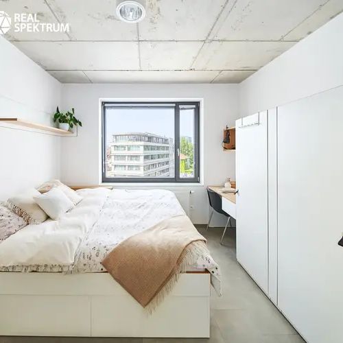 Pronájem moderního 1+kk (Double B) u Vaňkovky – BEZ PROVIZE! - Fotografie 1