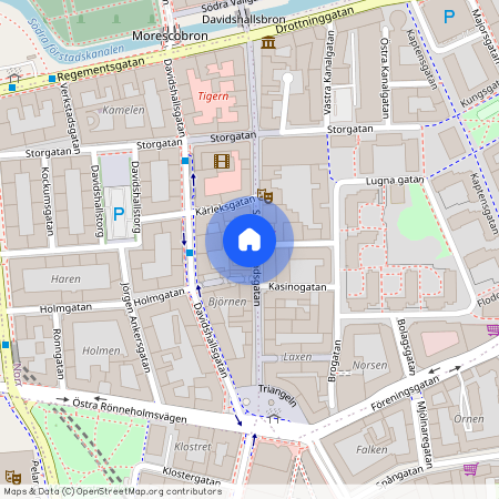 Södra Förstadsgatan 21, Davidshall