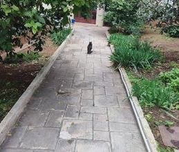 Διαμέρισμα για ενοικίαση - Νέα Σμύρνη, - Photo 3