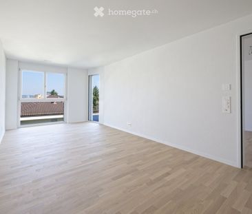 Attika mit direktem Liftzugang – 3.5 Zimmer über den Dächern von Zü... - Foto 1
