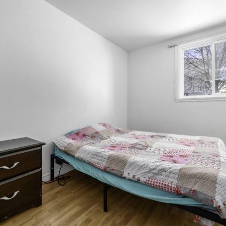 Appartement 4 ½ à louer Lévis juillet 2026 - Photo 4