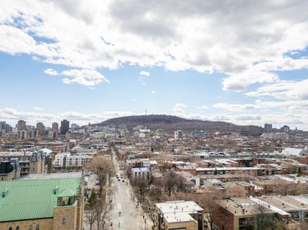 Condo for rent, Montréal (Le Plateau-Mont-Royal) - Photo 5