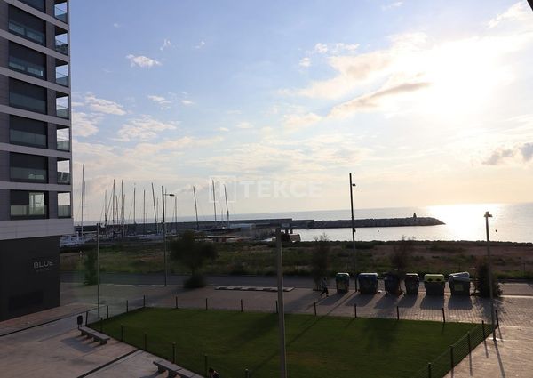 Badalona, La Morera, Barcelona, Catalonia 08918