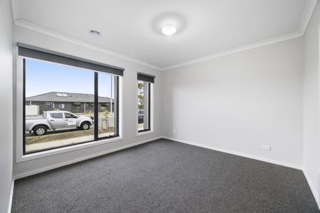LOW MAINTENANCE LIVING IN THE HEART OF LUCAS - Photo 4
