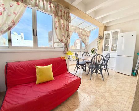 1 BEDROOM APARTMENT - TORREVIEJA - Photo 5