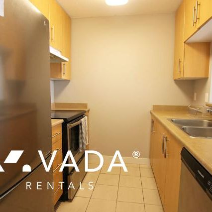 Unfurnished, 1 Bed 1 Bath Apartment For Rent - Photo 1