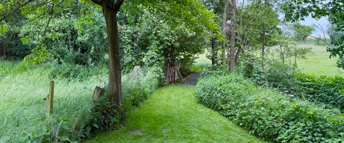 Historisches Fachwerkhaus mit Weideland - Pferdehaltung möglich - Photo 1