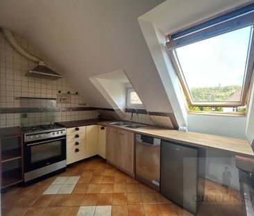 Do wynajęcia jako mieszkanie lub jako lokal - Photo 6