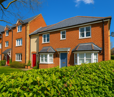 Langdon Hills - Basildon, Property for rent - Photo 5