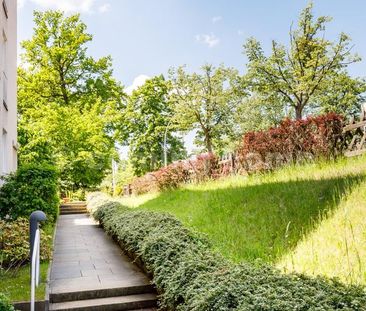 Eine Oase in Berlin - Photo 6