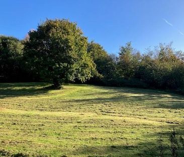 2 bedroom barn conversion to rent - Photo 6