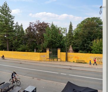 Charmerende centralt på Nørrebro - Photo 3