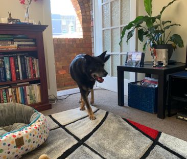 Gladesville - Photo 5