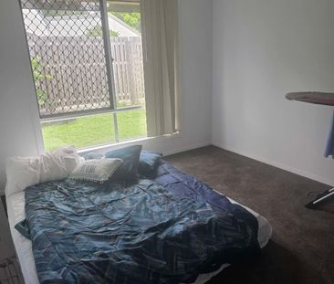 Pacific Pines - Photo 3