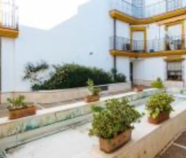 Calle Alfonso XII, Sevilla, Andalusia 41001 - Photo 3