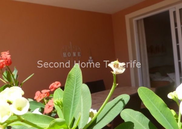 One bedroom apartment