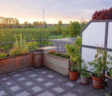 Duplex te huur in Brustem voor € 900 met 3 slaapkamers - Foto 3