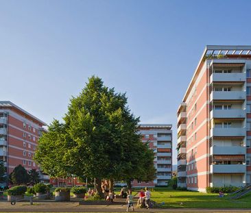 3.5 Zimmer, 67 m², 3. Stock - Foto 5