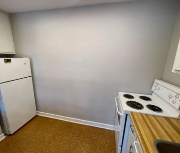 55 Sweetland Ave. — Bachelor - Photo 2
