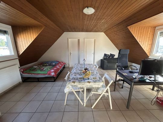 Studio in Marin: Verfügbar sofort oder ab 1. Dezember - Photo 1