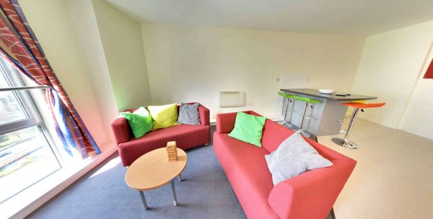 Extra Large High Double Studio - Photo 1