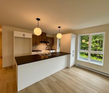 Logement 4 1/2 - Windsor projet Place du Barrage - Photo 1
