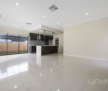 18 Sunset Avenue, Harkness - Photo 3