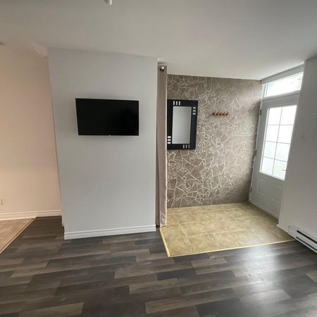 Loft - duplex - Tetreaultville - Photo 4