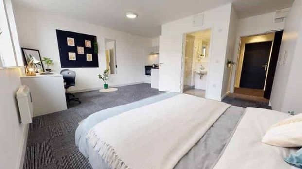 Platinum Studio Premium - Photo 1