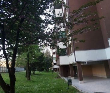 Via degli Anemoni, Milan, Lombardy 20147 - Photo 6