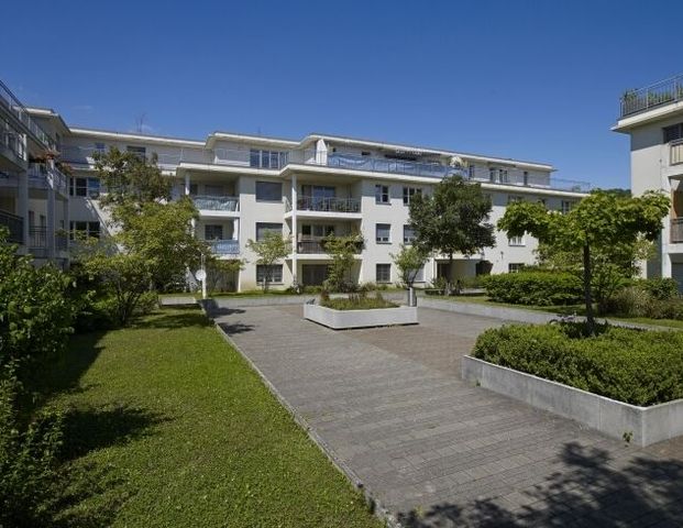 Spacious apartment with balcony - Photo 1